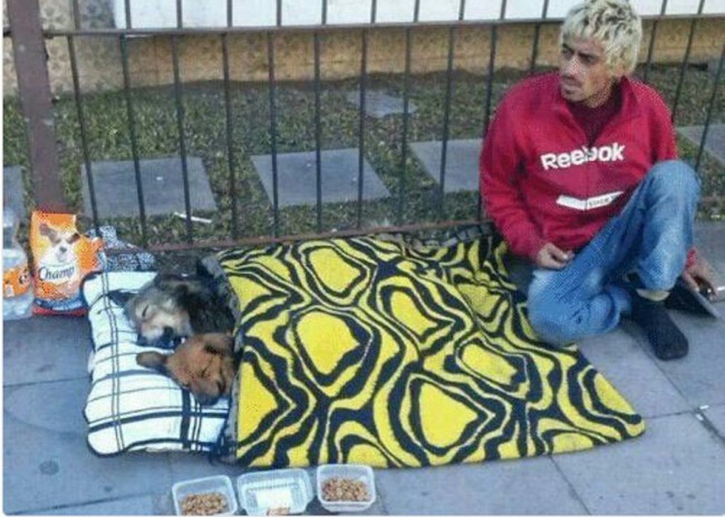 Disappointment With Humanity