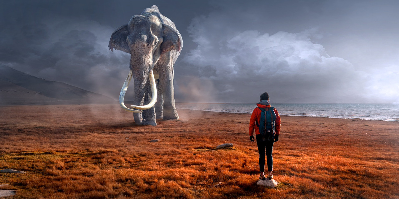 Venturing Into The Impossible